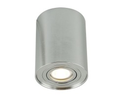 Потолочный светильник A5644PL-1SI Arte Lamp