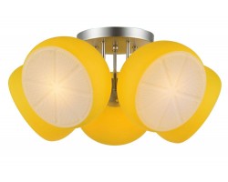 Потолочная люстра SL482.902.05 ST Luce