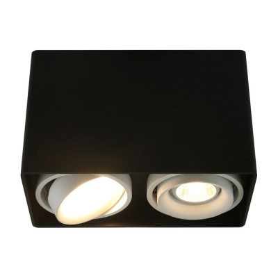 Потолочный светильник A5655PL-2BK Arte Lamp