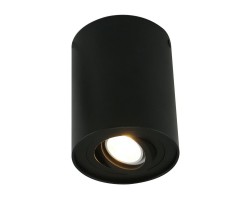 Потолочный светильник A5644PL-1BK Arte Lamp