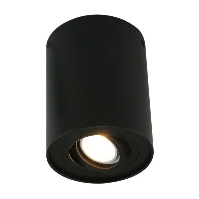 Потолочный светильник A5644PL-1BK Arte Lamp