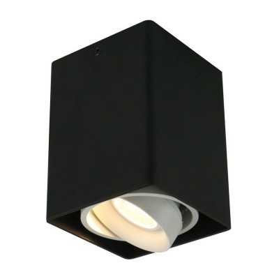 Потолочный светильник A5655PL-1BK Arte Lamp